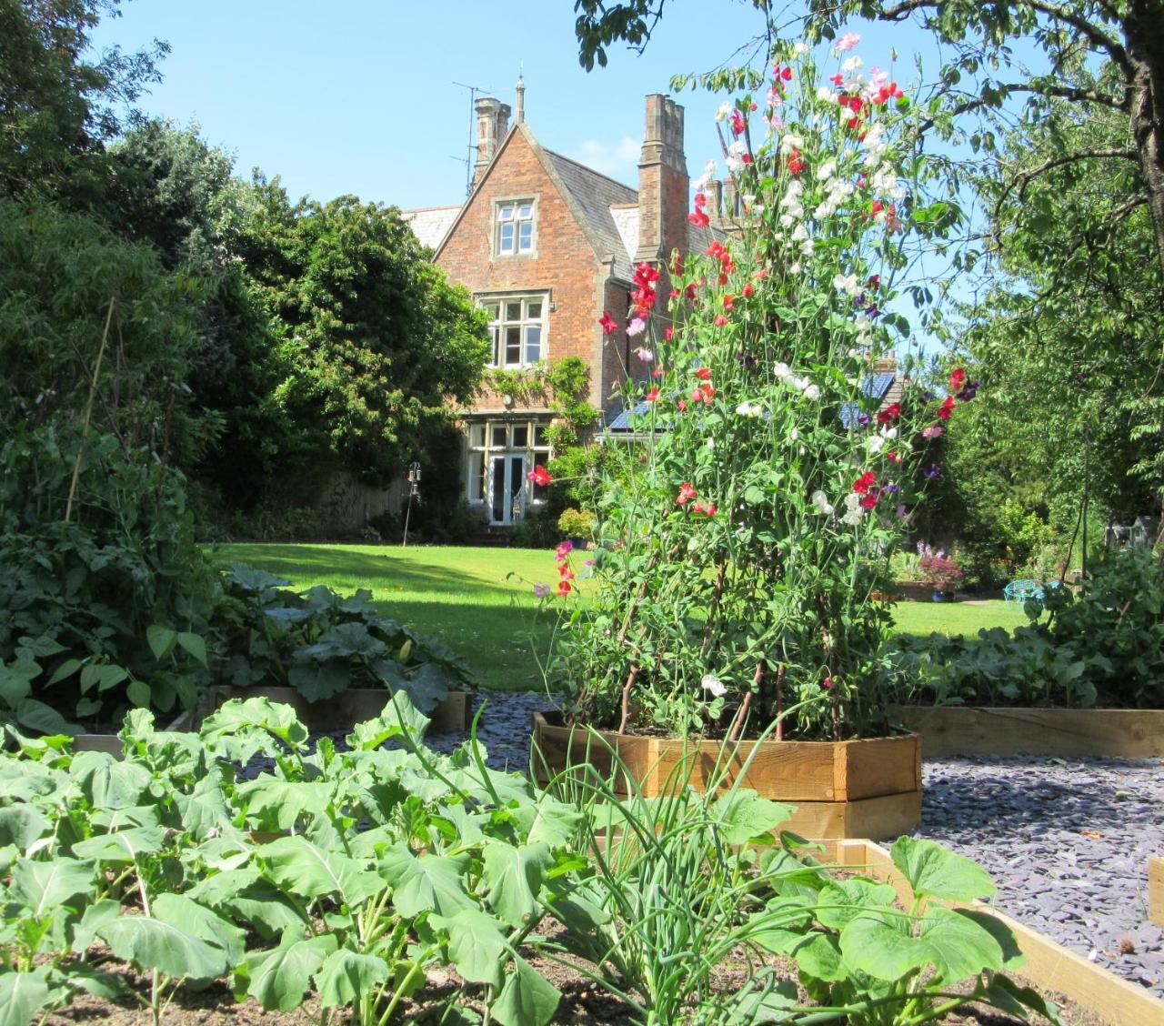 The Old Vicarage B & B Barnstaple Ngoại thất bức ảnh